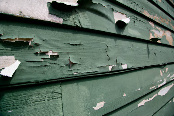 Affordable siding repair and maintenance services in Struthers, OH