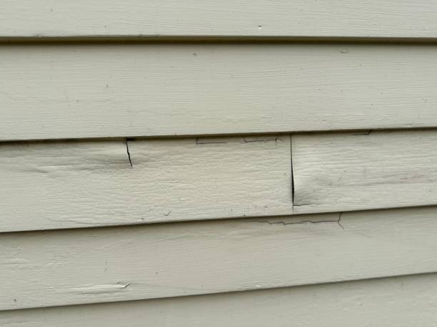 Affordable siding repair and maintenance services in Struthers, OH